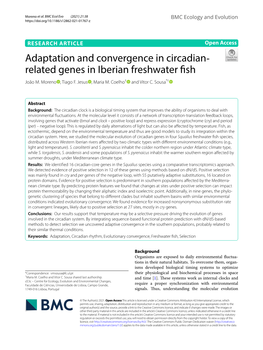 Adaptation and Convergence in Circadian‐Related Genes in Iberian