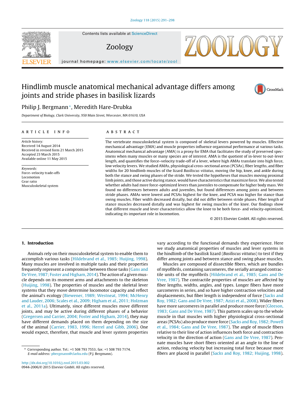 Hindlimb Muscle Anatomical Mechanical Advantage Differs Among