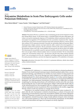 Polyamine Metabolism in Scots Pine Embryogenic Cells Under Potassium Deﬁciency