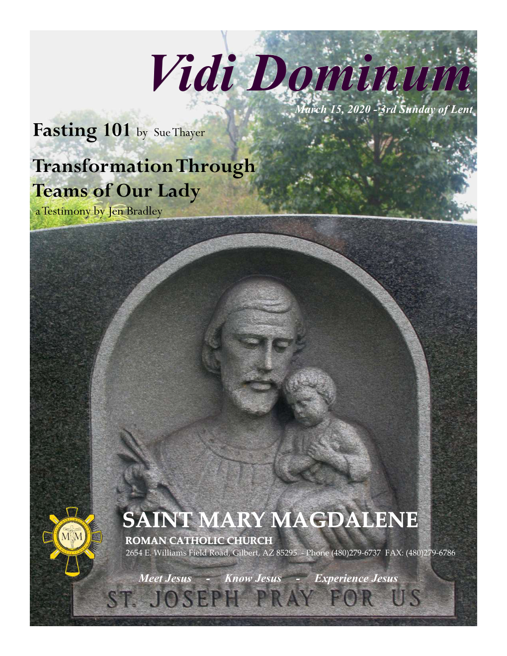 Vidi Dominum March 15, 2020 - 3Rd Sunday of Lent Fasting 101 by Sue Thayer
