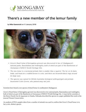 There's a New Member of the Lemur Family