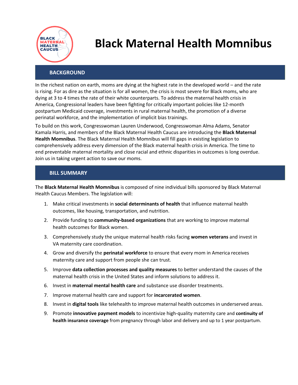 Black Maternal Health Momnibus