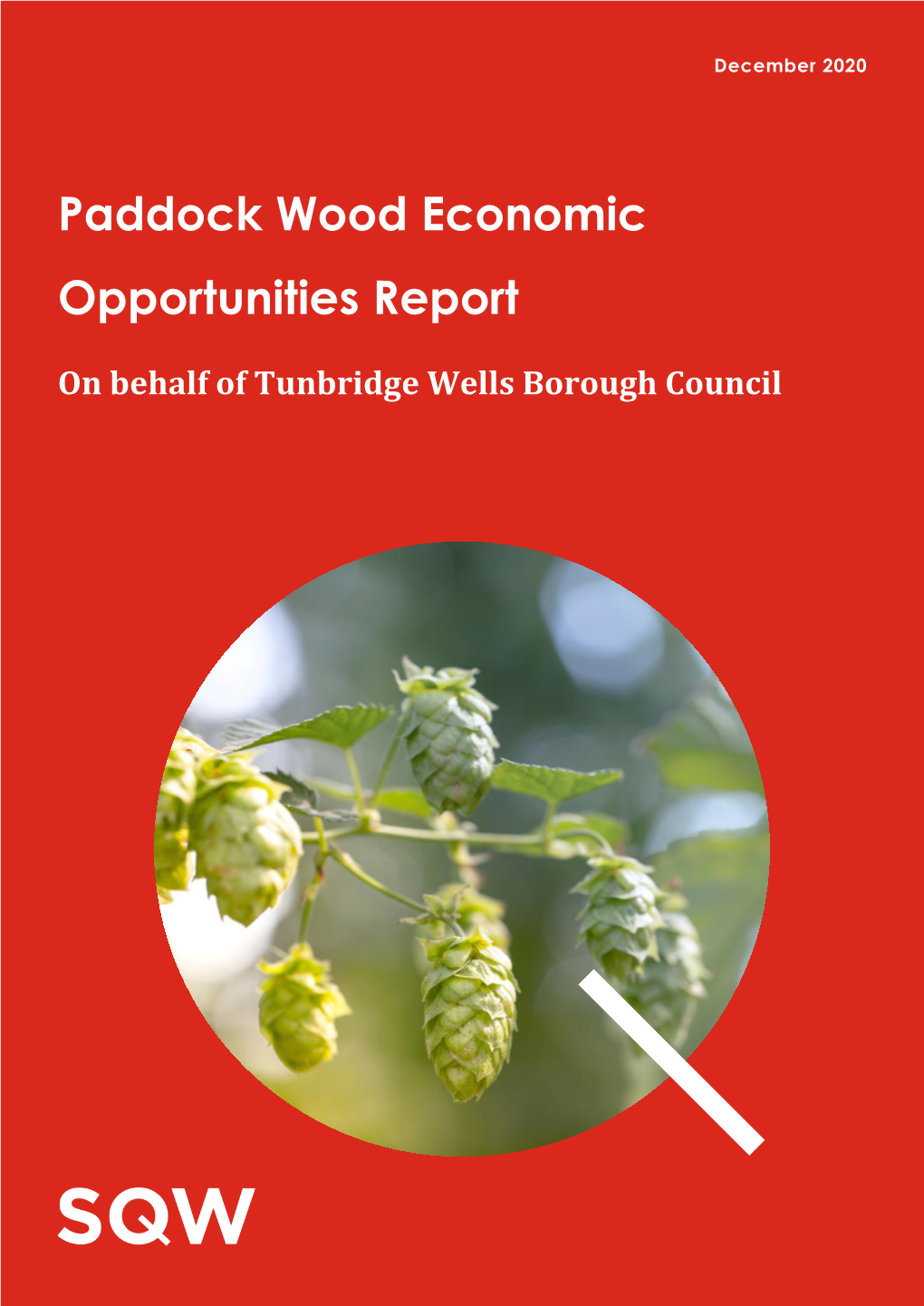 Paddock Wood Economic Opportunities Report