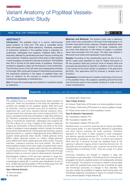 Variant Anatomy of Popliteal Vessels- a Cadaveric Study