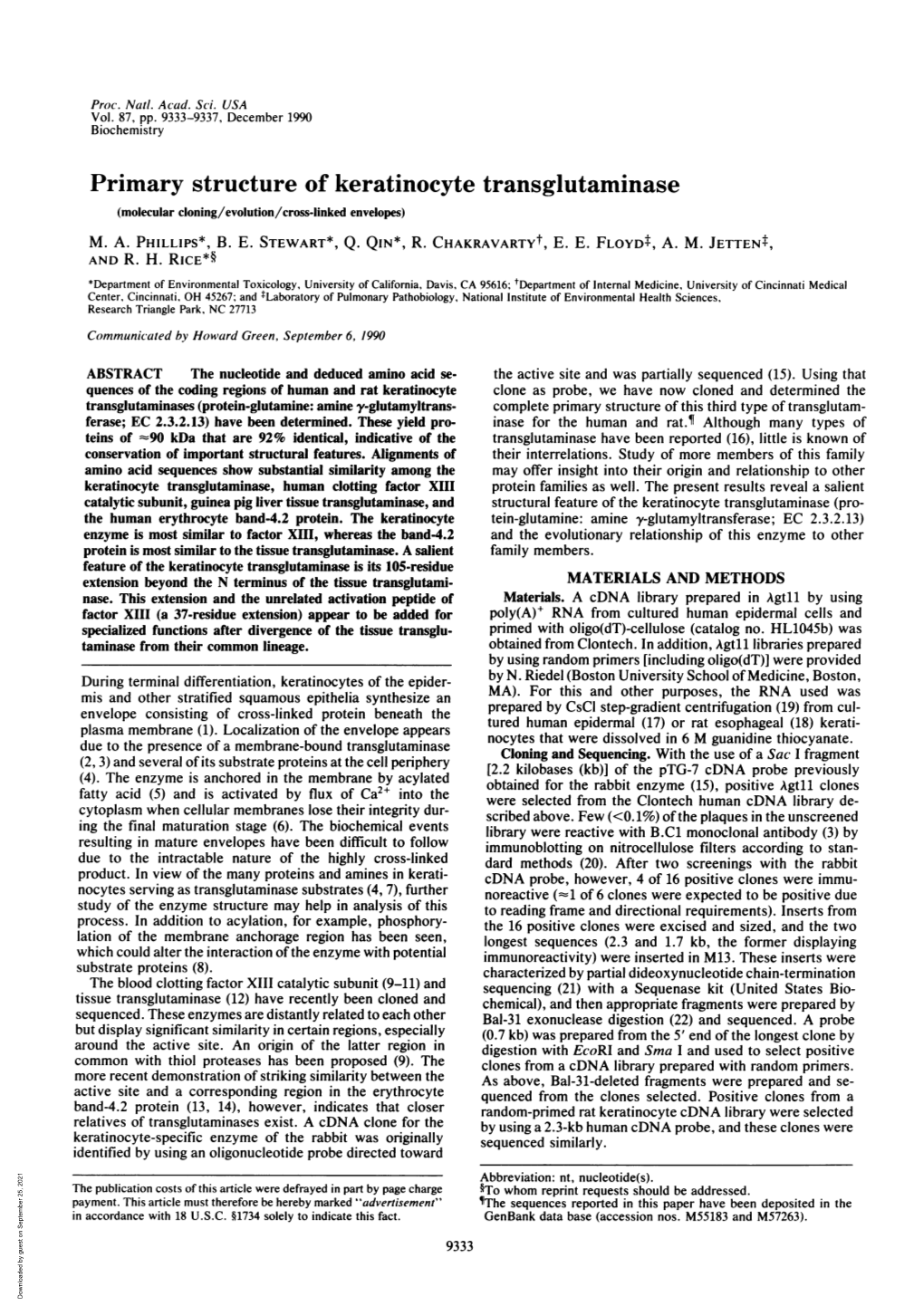 Primary Structure of Keratinocyte Transglutaminase (Molecular Cloning/Evolution/Cross-Linked Envelopes) M