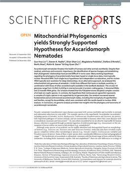 Mitochondrial Phylogenomics Yields Strongly Supported