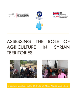 Assessing the Role of Agriculture in Syrian Territories