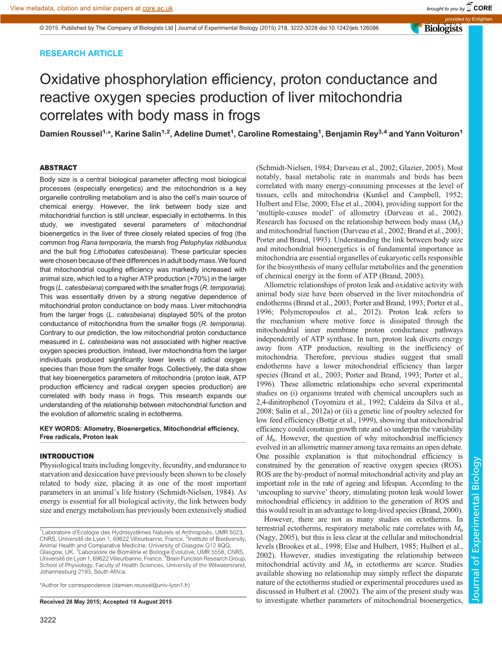 Oxidative Phosphorylation Efficiency, Proton Conductance And