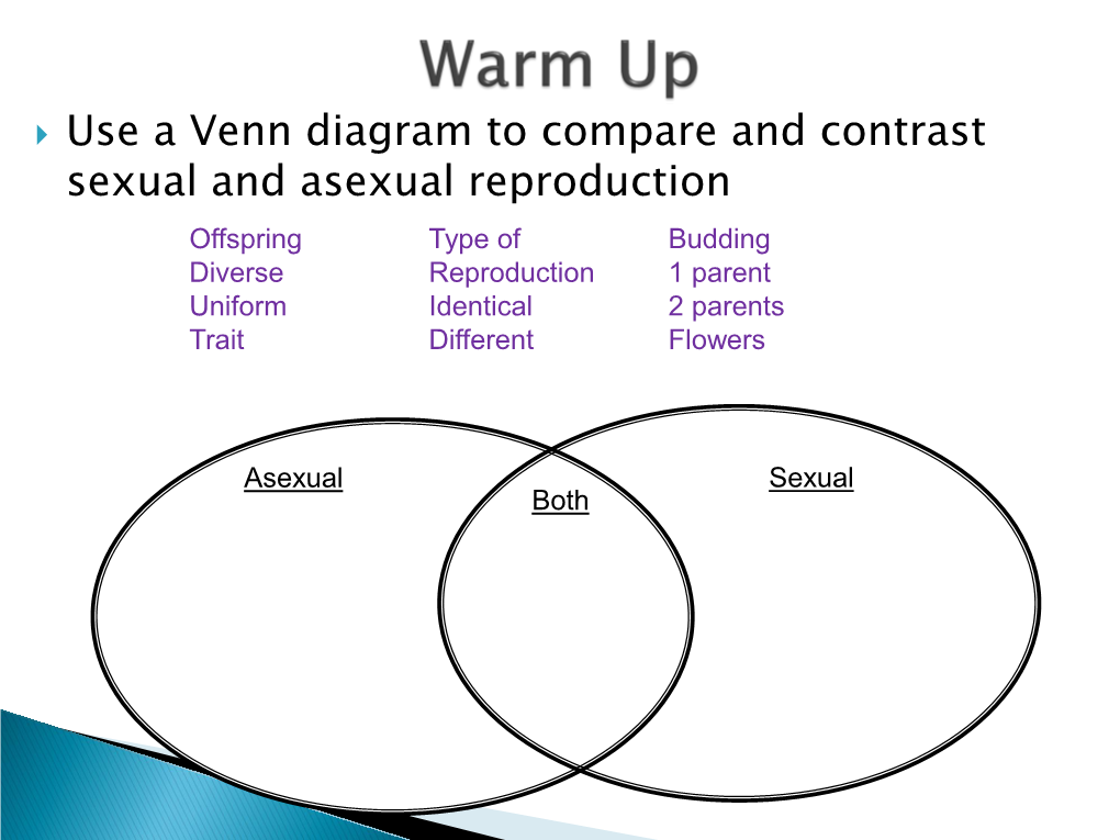 Use A Venn Diagram To Compare And Contrast Sexual And Asexual Docslib