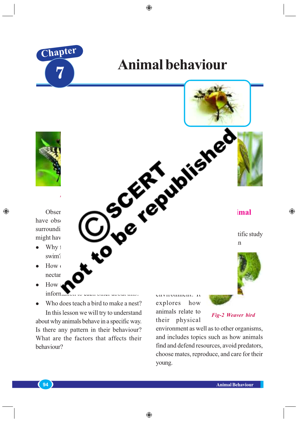 Animal Behaviour