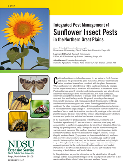 IPM of Sunflower Insect Pests in the Northern Great Plains