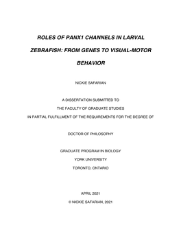 Roles of Panx1 Channels in Larval Zebrafish: from Genes to Visual