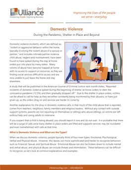 Domestic Violence During the Pandemic, Shelter in Place and Beyond