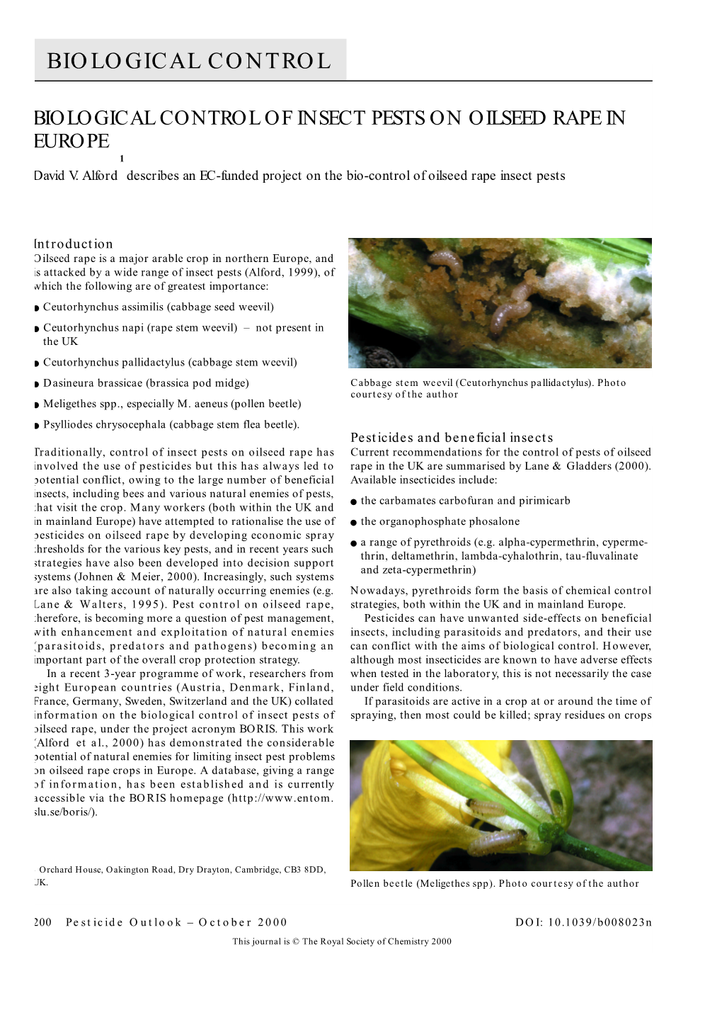 Biological Control of Insect Pests on Oilseed Rape in Europe