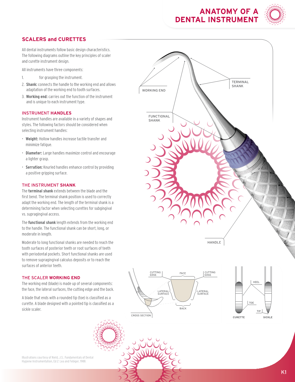 Anatomy of a Dental Instrument