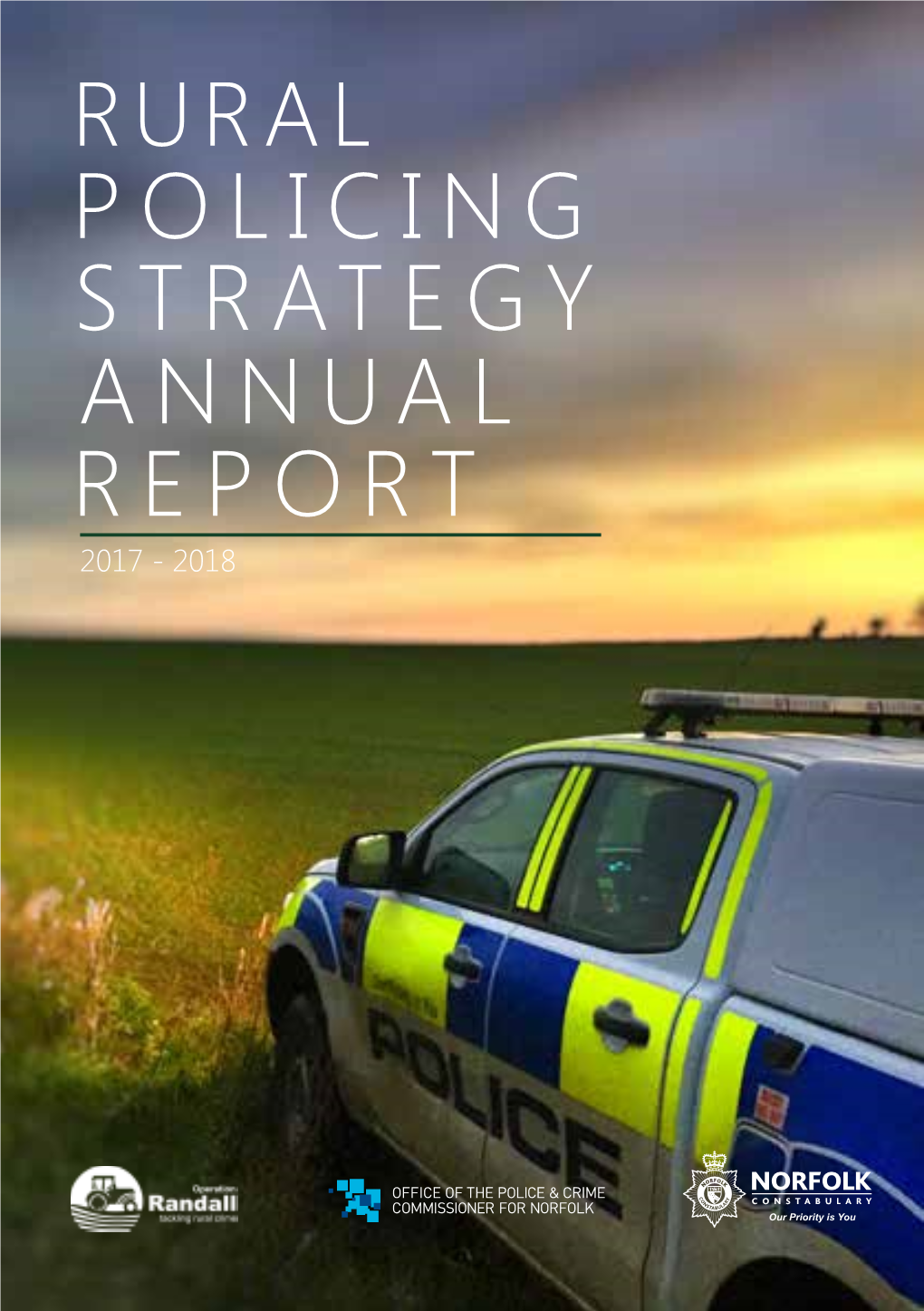 Strategy Annual Report Policing