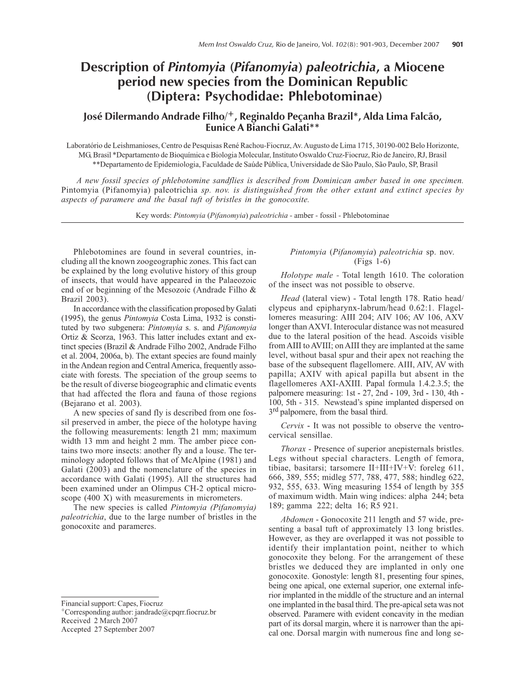 Description of Pintomyia (Pifanomyia) Paleotrichia, a Miocene Period New