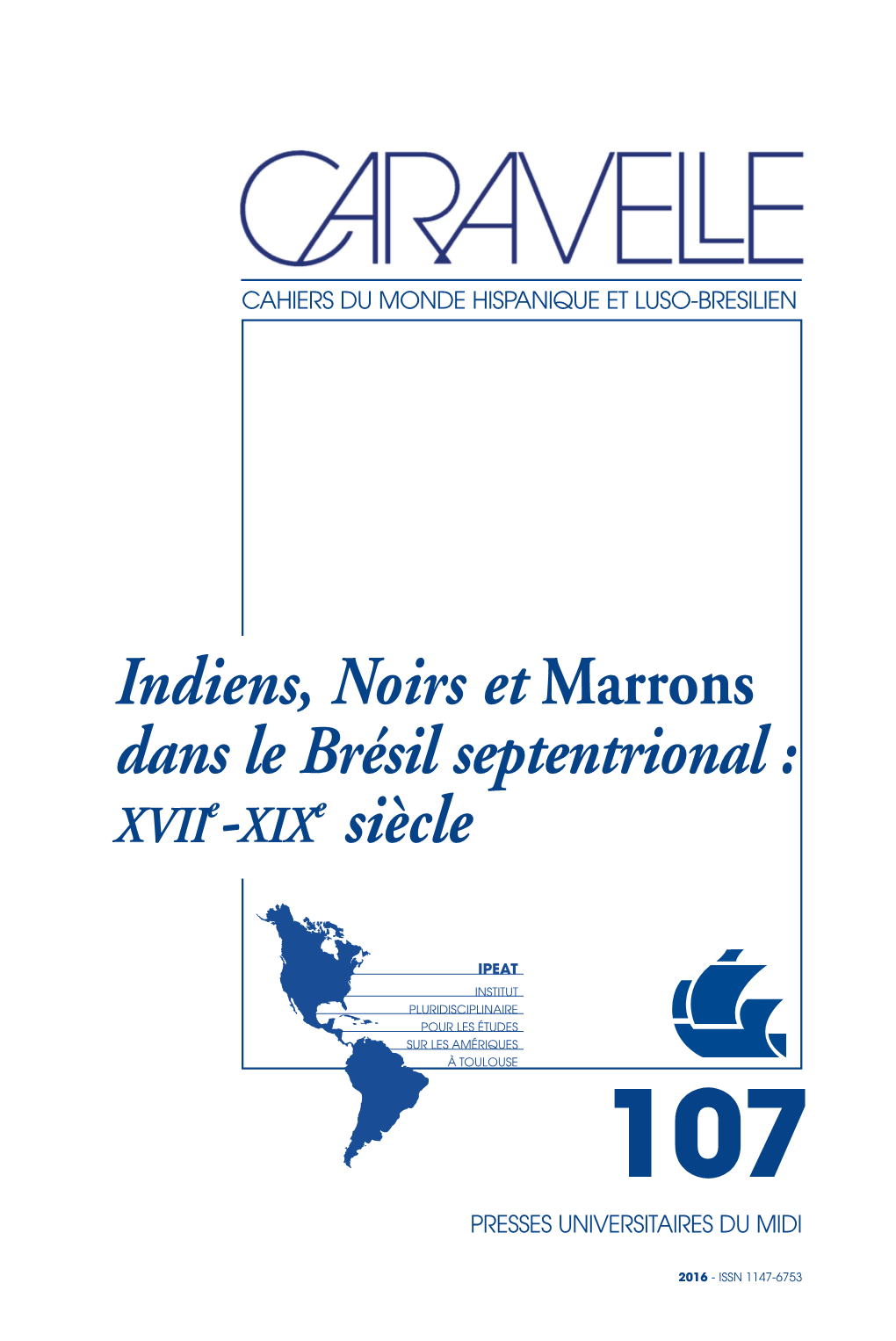 Indiens, Noirs Et Marrons Dans Le Brésil Septentrional : E Siècle
