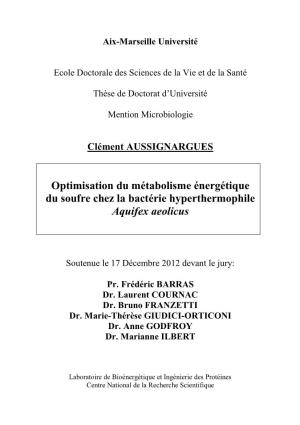 Optimisation Du Métabolisme Énergétique Du Soufre Chez La Bactérie Hyperthermophile Aquifex Aeolicus
