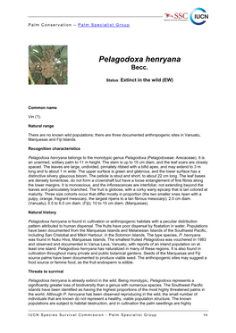 Pelagodoxa Henryana Conservation Fact Sheet