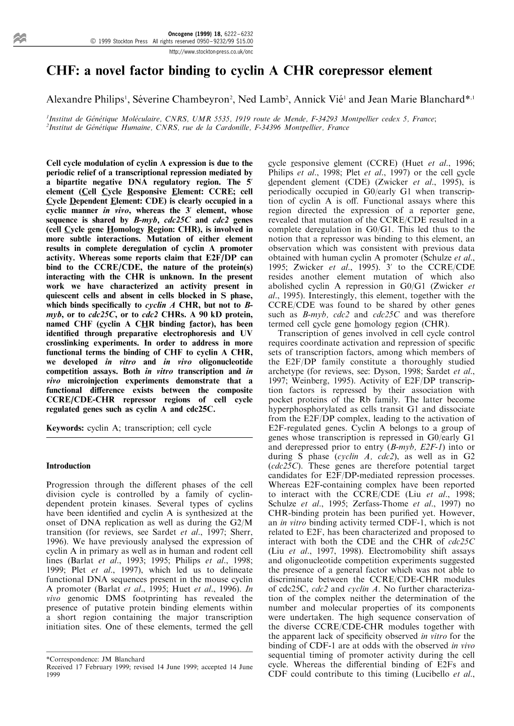 CHF: a Novel Factor Binding to Cyclin a CHR Corepressor Element