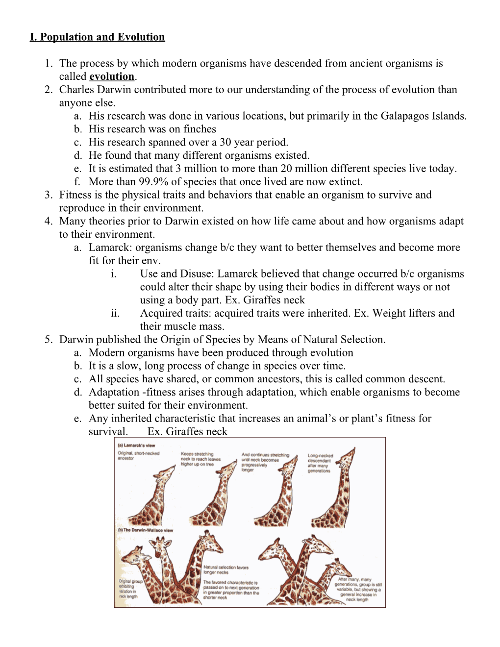 Population and Evolution