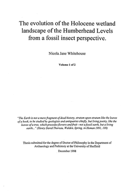 The Evolution of the Holocene Wetland Landscape of the Humberhead Levels from a Fossil Insect Perspective