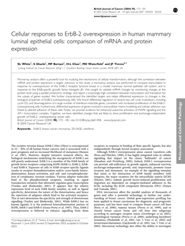 Cellular Responses to Erbb-2 Overexpression in Human Mammary Luminal Epithelial Cells: Comparison of Mrna and Protein Expression