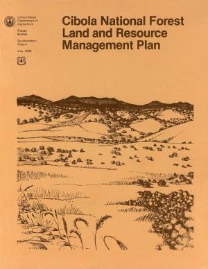 1985 Land and Resource Management Plan