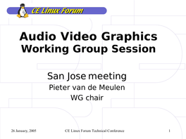 Audio Video Graphics Working Group Session