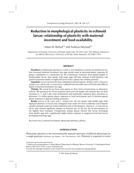 Reduction in Morphological Plasticity in Echinoid Larvae: Relationship of Plasticity with Maternal Investment and Food Availability