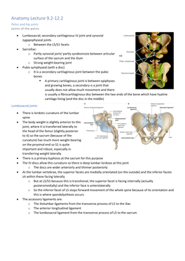 Anatomy Lecture 9.2-12.2 Pelvic and Hip Joints Joints of the Pelvis