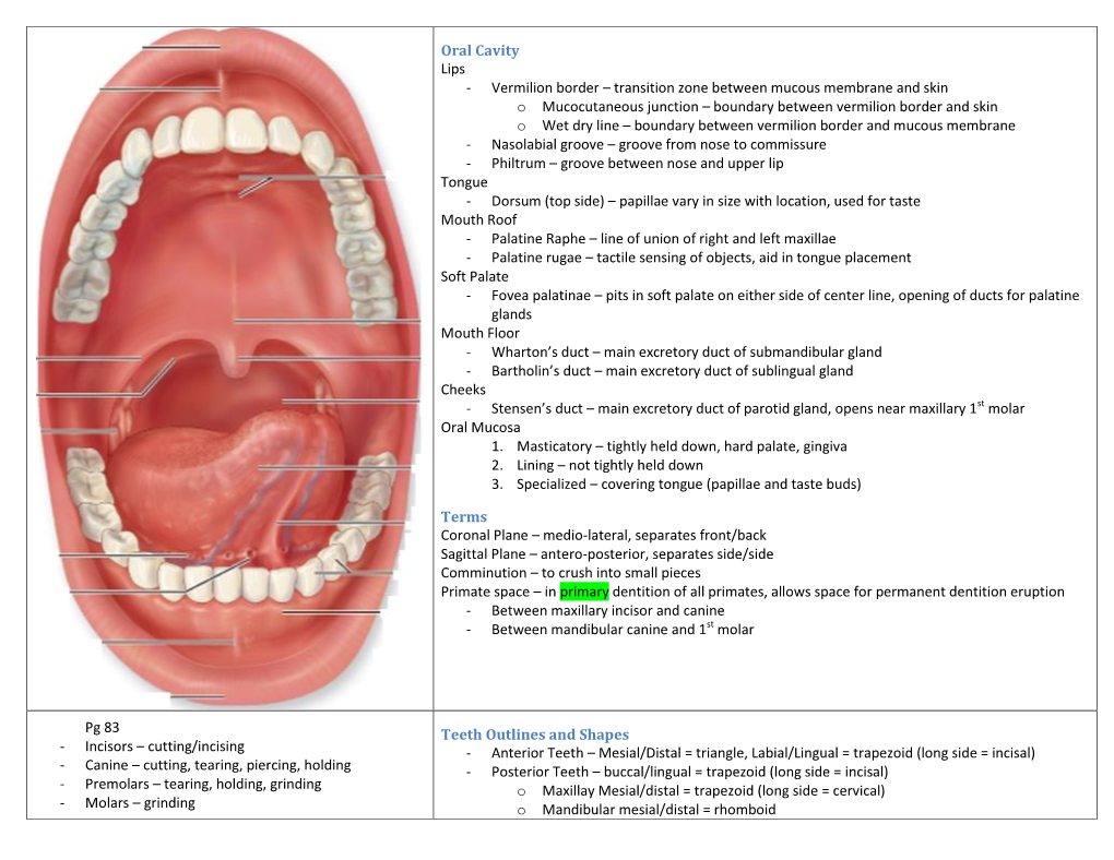 Oral Cavity Lips