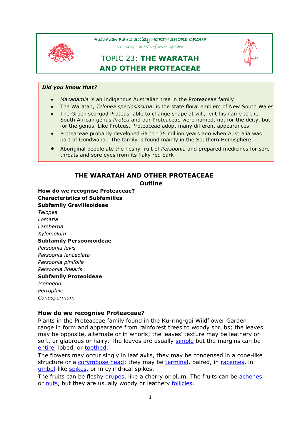 The Waratah and Other Proteaceae