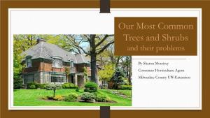 Our Most Common Trees and Shrubs and Their Problems