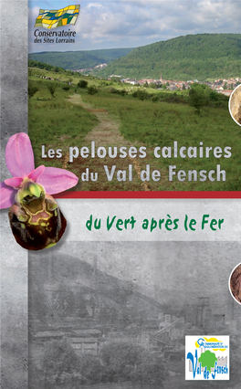 Algrange, Nilvange Et Ranguevaux (57) Pelouses Calcaires Du Val De