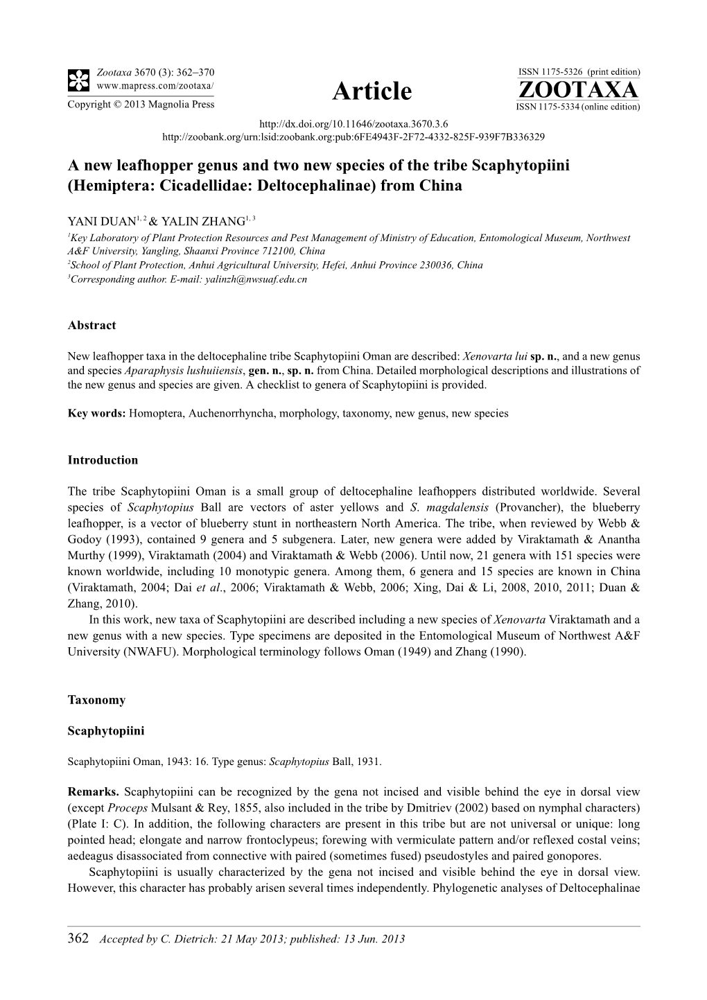 Hemiptera: Cicadellidae: Deltocephalinae) from China