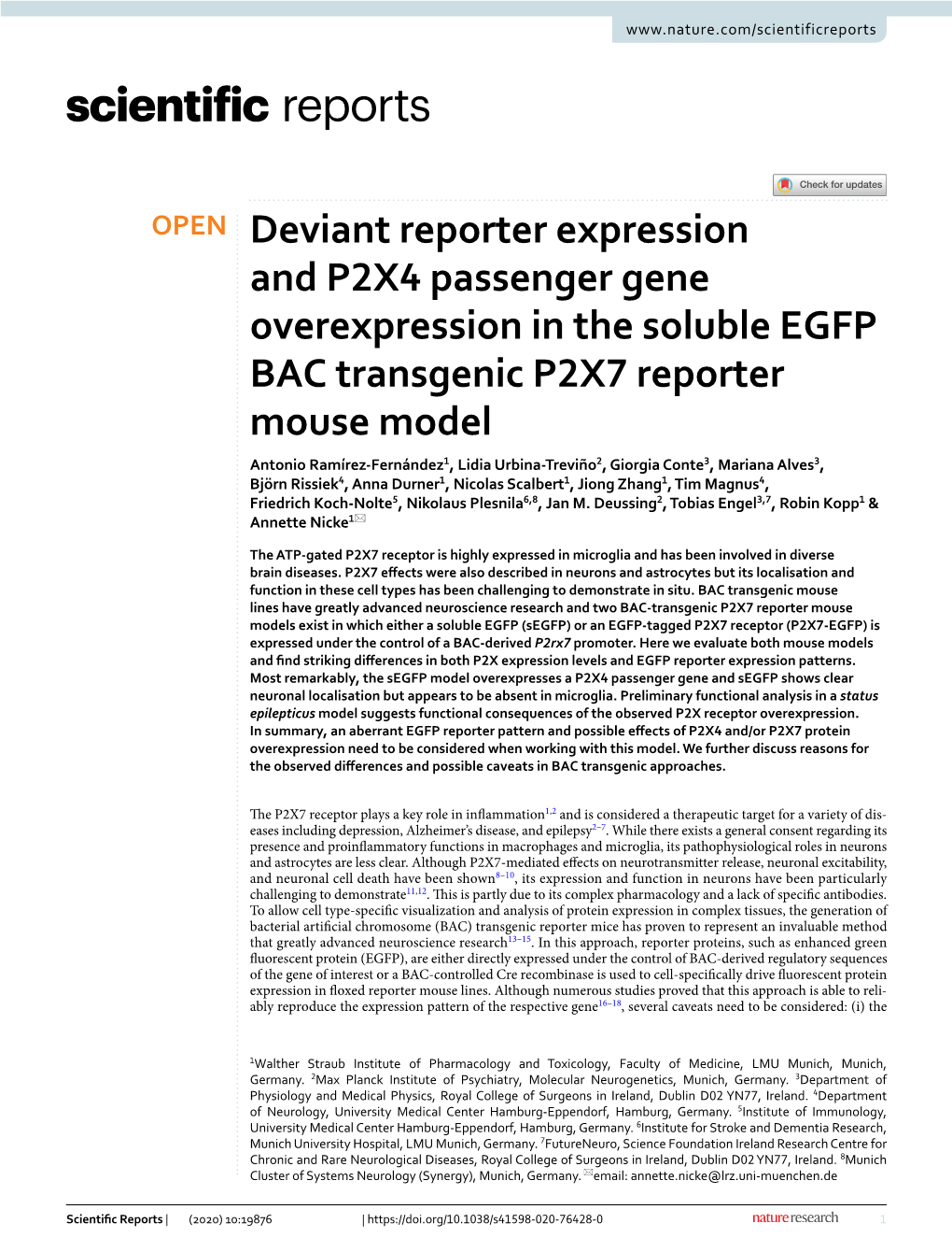 Deviant Reporter Expression and P2X4 Passenger Gene Overexpression In