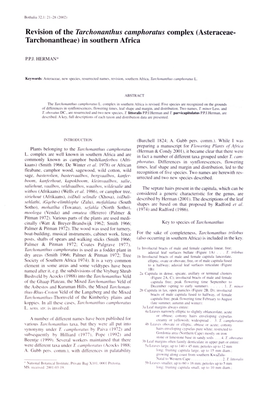 Revision of the Tarchonanthus Camphoratus Complex (Asteraceae- Tarchonantheae) in Southern Africa