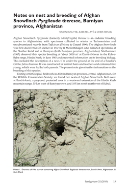 Notes on Nest and Breeding of Afghan Snowfinch Pyrgilauda Theresae, Bamiyan Province, Afghanistan SIMON BUSUTTIL, RAFFAEL Ayé & CHRIS SHANK