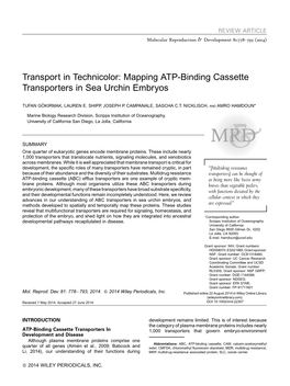 Mapping Atpbinding Cassette Transporters in Sea