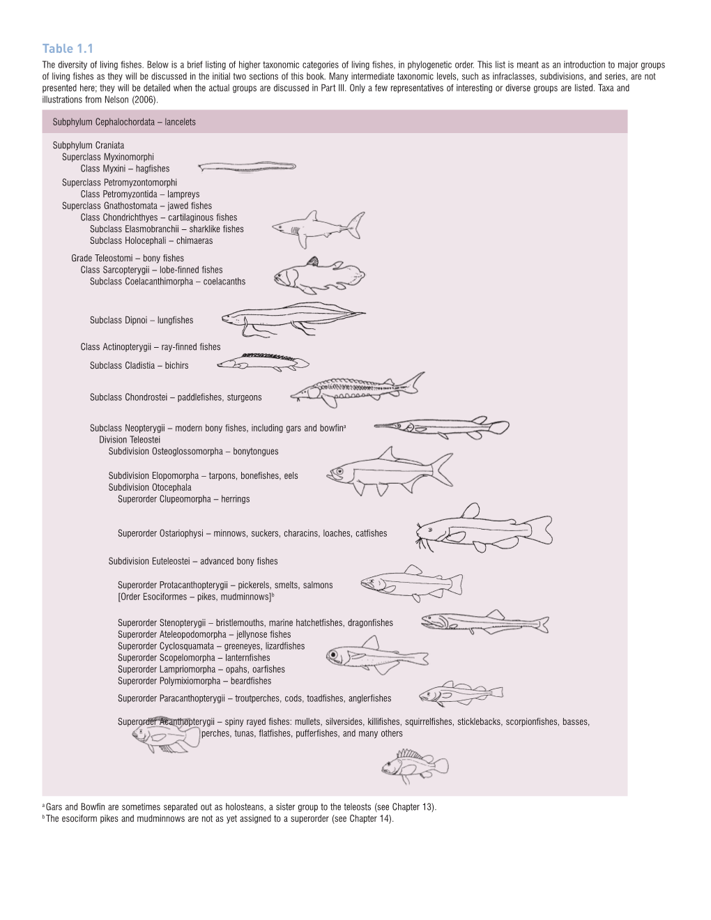 Table 1.1 the Diversity of Living Fishes