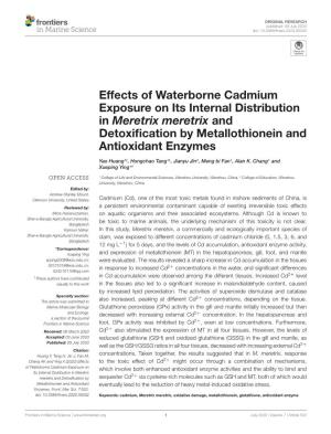 Effects of Waterborne Cadmium Exposure on Its Internal Distribution in Meretrix Meretrix and Detoxiﬁcation by Metallothionein and Antioxidant Enzymes
