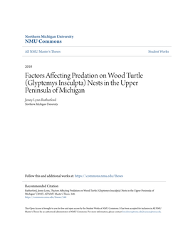 Glyptemys Insculpta) Nests in the Upper Peninsula of Michigan Jenny Lynn Rutherford Northern Michigan University