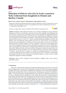 Detection of Babesia Odocoilei in Ixodes Scapularis Ticks Collected from Songbirds in Ontario and Quebec, Canada