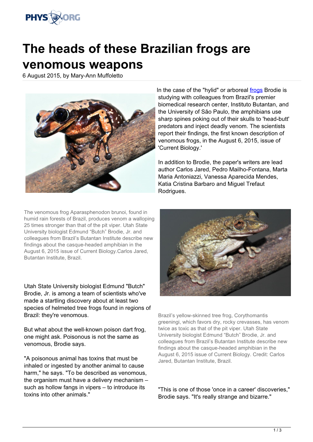 The Heads of These Brazilian Frogs Are Venomous Weapons 6 August 2015, by Mary-Ann Muffoletto