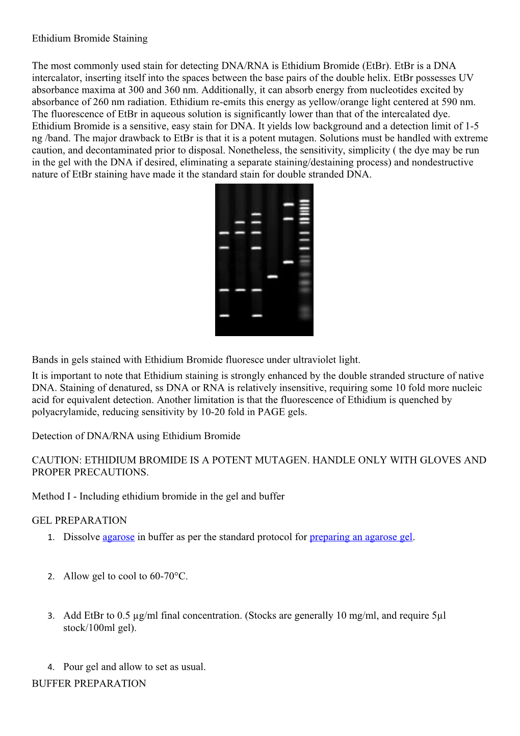 Detection of DNA/RNA Using Ethidium Bromide