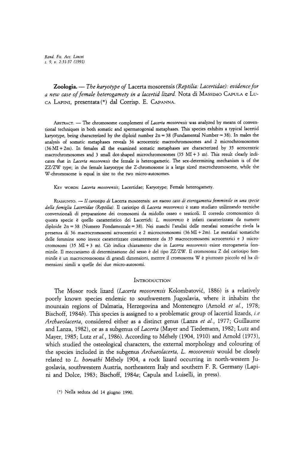 The Karyotype of Lacerta Mosorensis (Reptilia: Lacertidae): Evidence for a New Case of Female Heterogarnety in a Lacertid Lizard