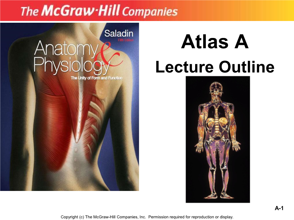 Atlas a Lecture Outline