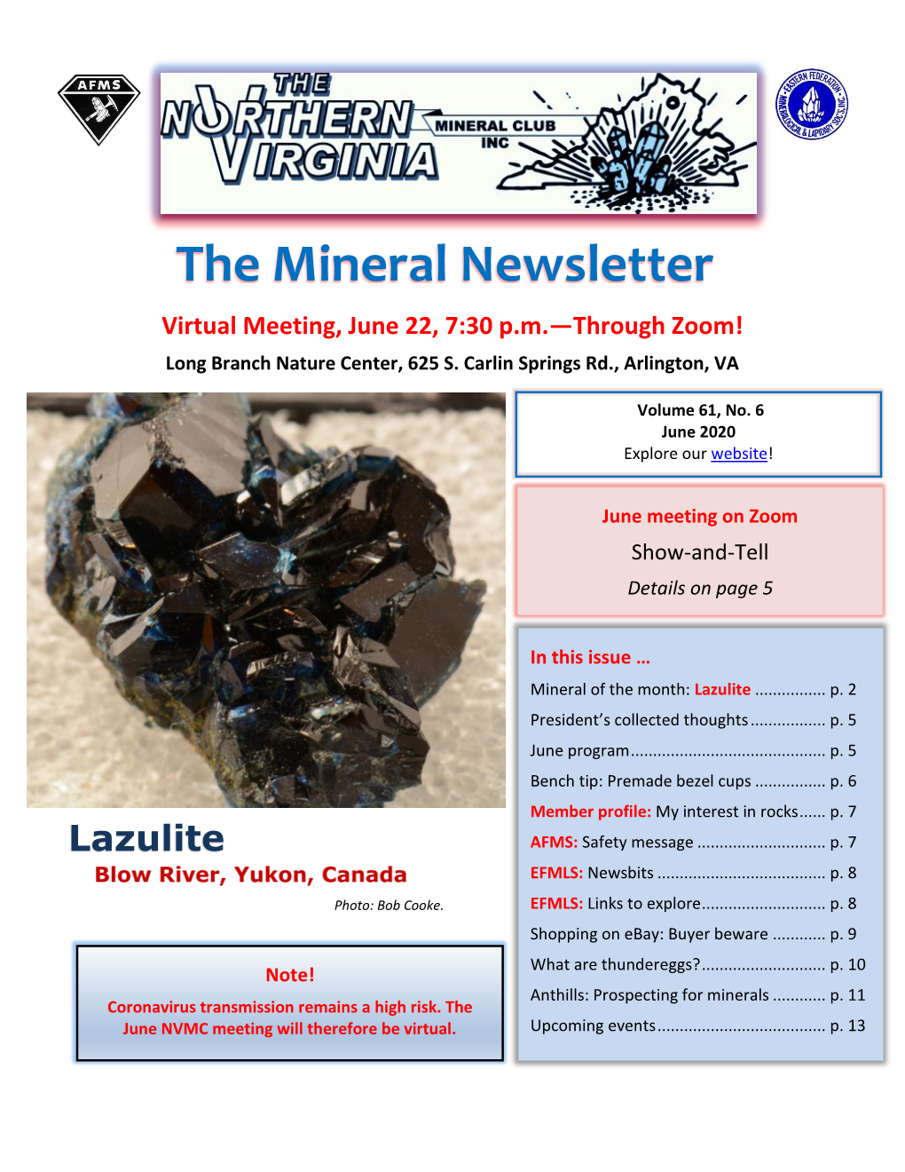 NVMC Jun 2020 Newsletter.Pdf